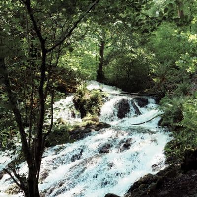 lake district 01 shot with SONY ILCE-7M4