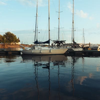 south wales 02 shot with SONY ILCE-7M4