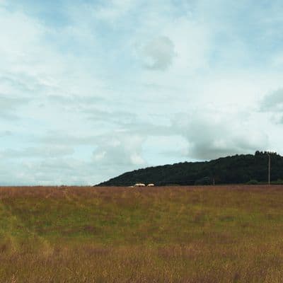 south wales 10 shot with SONY ILCE-7M4