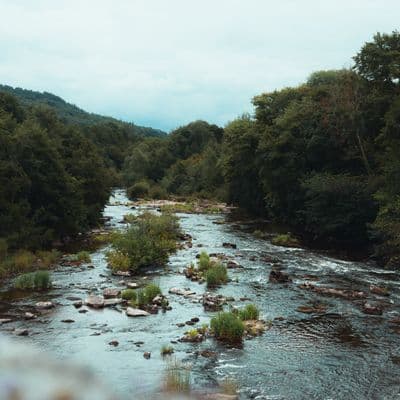 south wales 12 shot with SONY ILCE-7M4